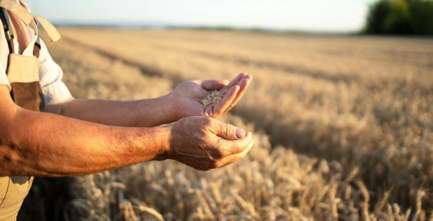 Descubra as principais diferenças do contrato de arrendamento e de parceria rural.